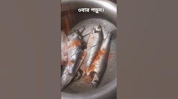 সুরা ইখলাস পড়ুন। #سورة_الإخلاص #ikhlas #viral #unfrez #viralvideo