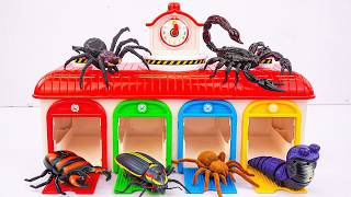 ZURU Robo Alive Unboxing ASMR 🐢 Remote Control Insects Spiderman & Tayo Bus Collection Unboxing Toys
