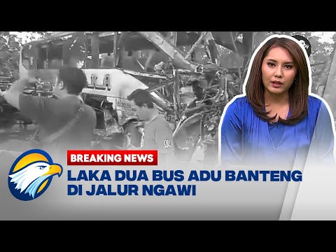 BREAKING NEWS - Laka Dua Bus Adu Banteng di Jalur Ngawi
