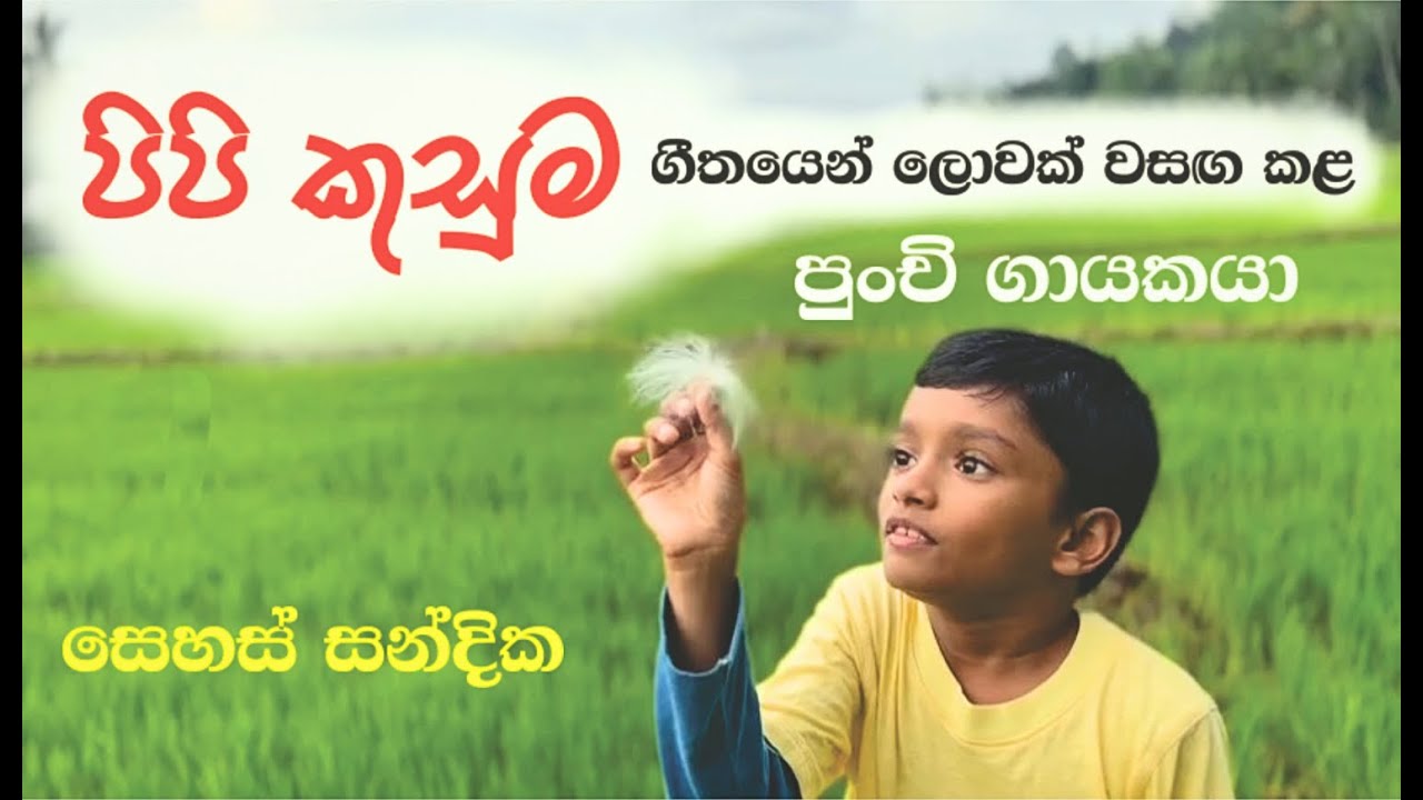 Pipi Kusuma  ( Cover ) පිපි කුසුම  - සෙහස් සන්දික අබේසිංහ