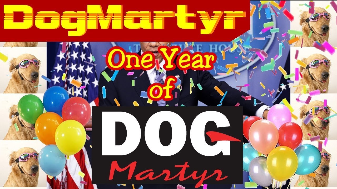 One Year of DogMartyr