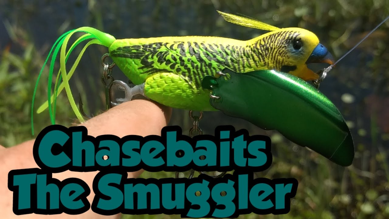 Chasebaits The Smuggler  Do Fish Eat Parakeets? 