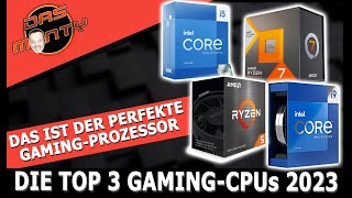 Die perfekte Gaming-CPU/Prozessor | Die Top 3 Gaming-CPUs 2023 | DasMonty