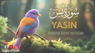 Surah Yaseen-36 Relaxing & Soulful Recitation-Badr M Al‑Turki Healing #Quranrecitation #recitation