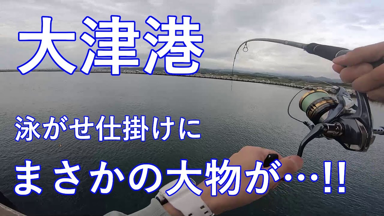 【大津港】サビキで釣れたイワシを泳がせていたら、大物が釣れちゃった！【北茨城市】