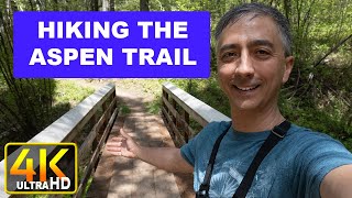 Hiking The Aspen Trail In Driggs Teton County Idaho 4K Uhd