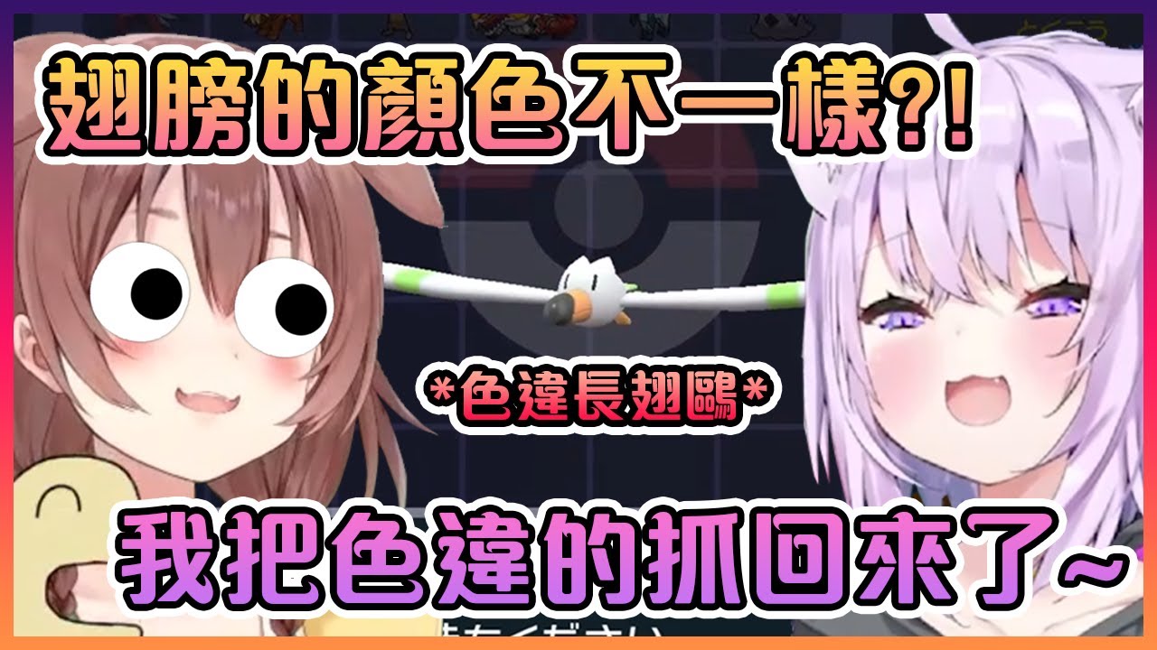 當沁音收到小粥送給她的色違長翅鷗時的超可愛反應!【Hololive中文】【猫又小粥/戌神沁音】