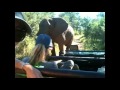 Wildsafari zu Pferd in Südafrika mit PFERD &amp; REITER