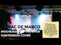 Mac demarco  moonlight on the river gantenbein cover