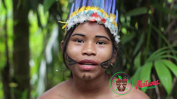 Indigenas nativos amazonas lasdos