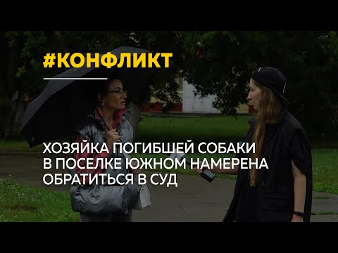 На Южном бойцовая собака прокусила голову маленькому шпицу