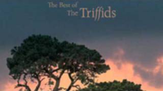 Reverie - The Triffids