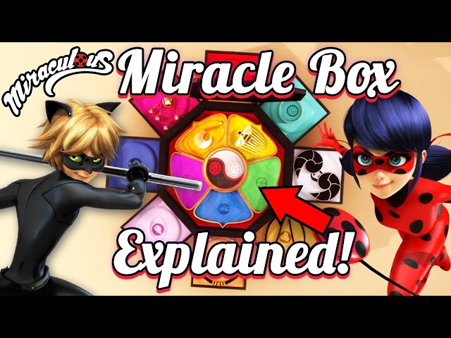 Miracle Ladybug Miracle Ladybug, Miracle Ladybug Miracle Box