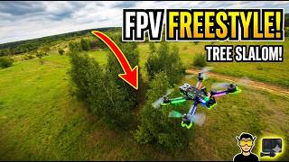 FPV Freestyle: Field & Tree Slalom 🚀