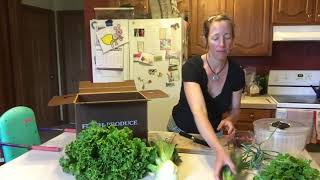 June 20 CSA box 2