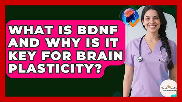 What Is BDNF And Why Is It Key For Brain Plasticity? - Brain Health Support Network