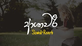 Ashawari - ආශාවරී (Slowed+Reverb)