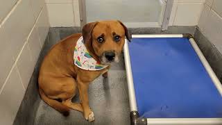 acs A677193