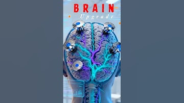 Mandatory Neural Implants: Efficiency Unlocked!