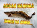 Ловля Налима Зимой на Жерлицы - Зимняя Рыбалка на Налима с Донками (Ночная Рыбалка)