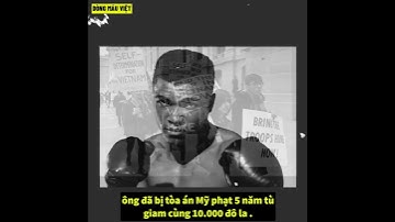 Người Dân Thường Mỹ , Không Có Tội Trong Chiến Tranh Việt Nam