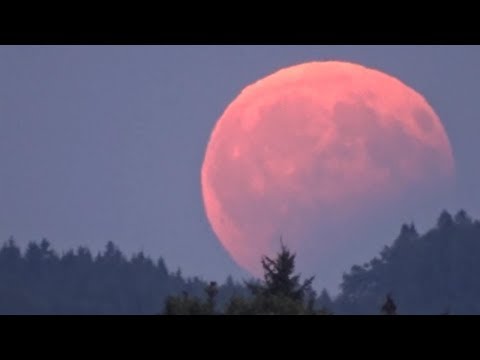 Video: Kdy bude v roce 2021 zatmění Měsíce