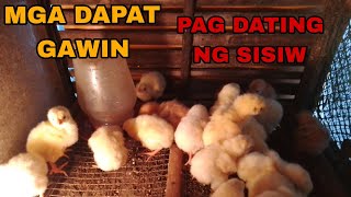 PARA IWAS MORTALITY |@BackyardFarmingatpb