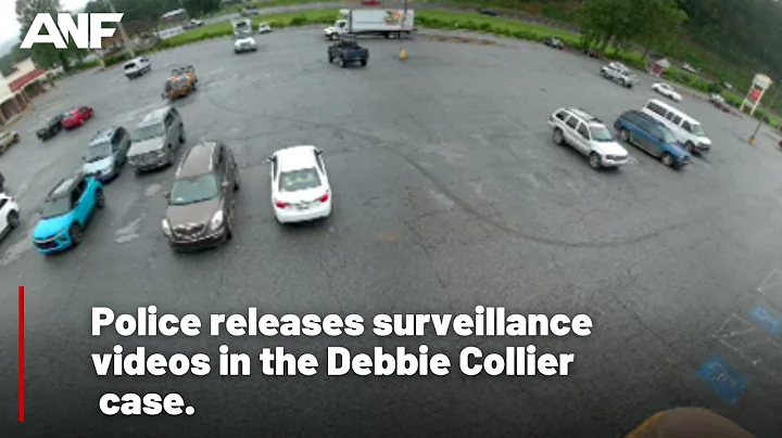 Surveillance videos released in death of Debbie Co...