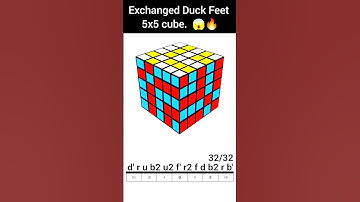 exchanged duck feet pattern | rubik