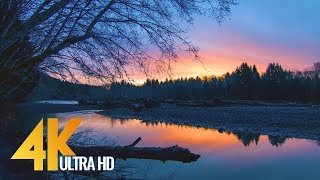 Sunrise at Hoh River - 4K Nature Relax Video - 1 HR for Relaxation, Destress and Restoration