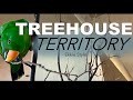 Eclectus Treehouse