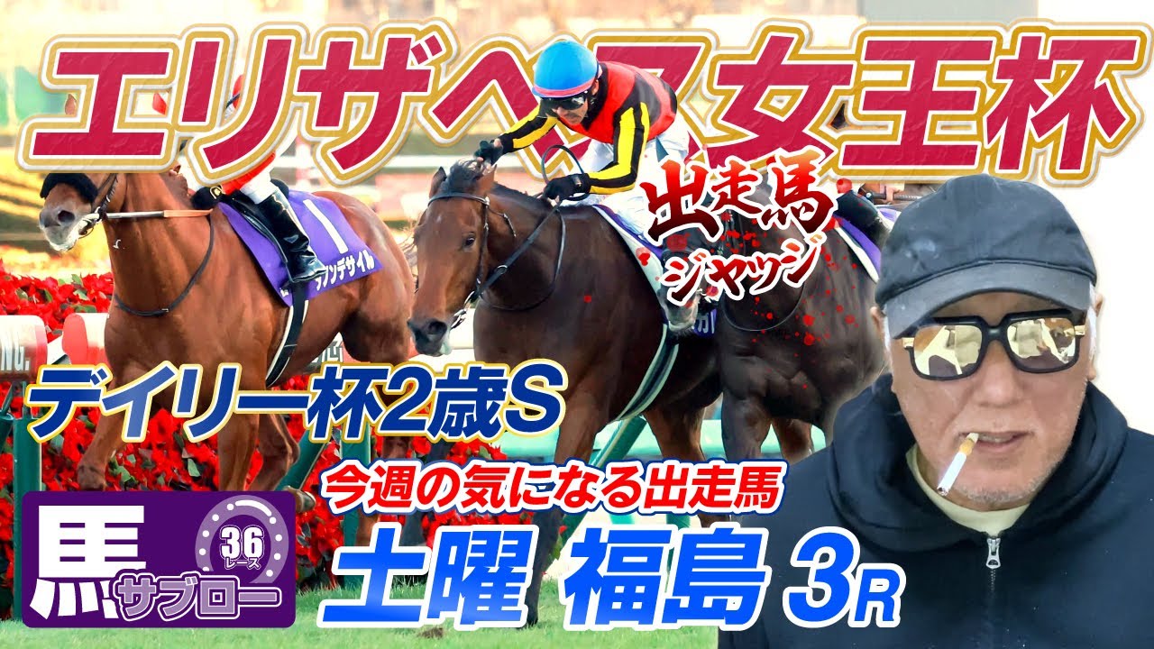 Queen Elizabeth Cup] Racehorse judges - YouTube