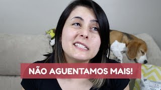 8 comentários que todo dono de Beagle não aguenta mais ouvir