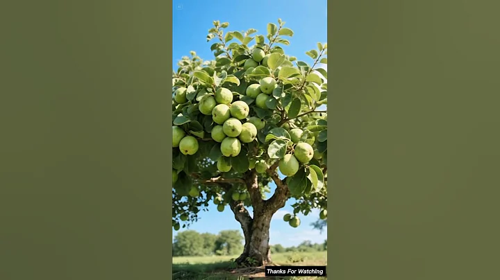 🌿 The Guava Tree: A lesson she learned too late…#ai #tree #save