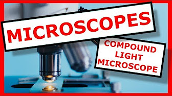 Welcome to the Virtual Microscope Lab - YouTube