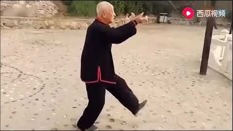 Xing Yi Quan (Hsing I Chuan) 形意拳五行拳 Hình ý quyền 5 elements