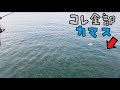 うゎ～カマスの大群だ！【房総半島 小湊漁港】2026年初釣り！