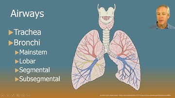 2018 Pulmonology and Lung Surgery   A&P and CPT coding challenges