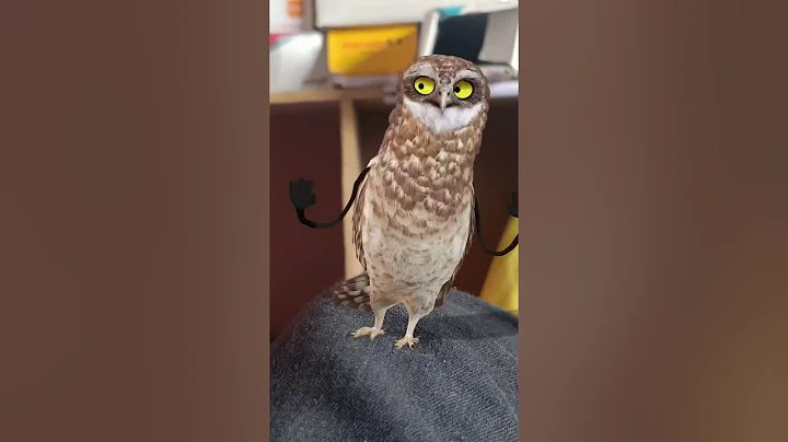 VID 20251219 013941 316 bsl