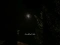 جيت ادور في رفوف الذكريات استوريات جيت ادور في رفوف الذكريات استوريات