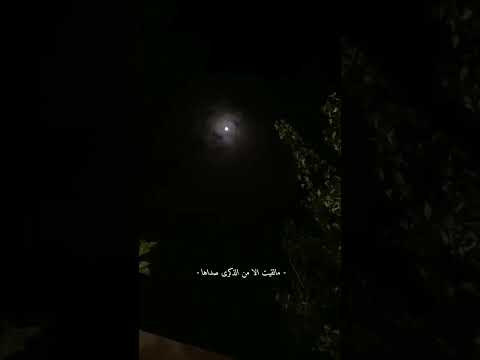 جيت ادور في رفوف الذكريات استوريات