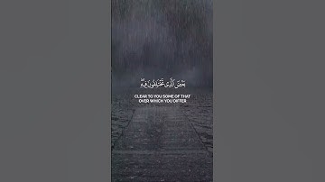 فاختلف الأحزاب من بينهم || بدر البشر من سورة الزخرف #قرآن #دعاء