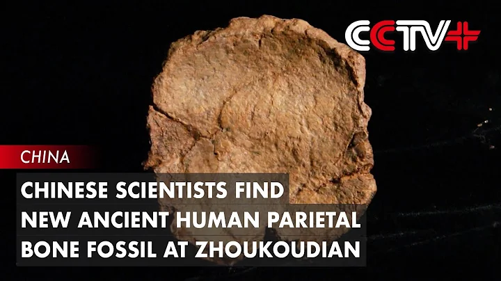 Chinese Scientists Find New Ancient Human Parietal Bone Fossil at Zhoukoudian - DayDayNews