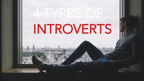 What is introversion? What type of introvert are you?
