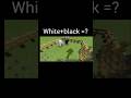 Minecraft Sheep Color Experiment 😱 | White + Black = ? | Hindi #sheep #minecraft