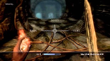 The Elder Scrolls V: Skyrim Let