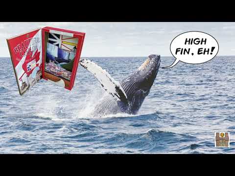 Welcome to Beautiful Canada (Canada Day 2020 Initiative)