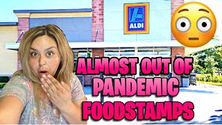 USING MY PANDEMIC FOODSTAMPS AT ALDI // ALMOST OUT OF PANDEMIC FOODSTAMPS // FOODSTAMP SHOPPING 2020