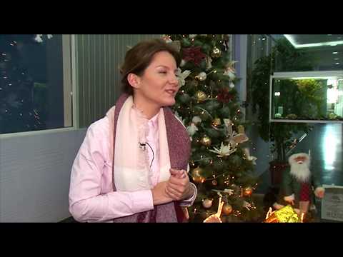 რადიოჰოლდინგ ფორტუნას ნეკა სებისკვერაძე სტუმრობდა და მისი ახალი სიმღერის პრემიერაც შედგა