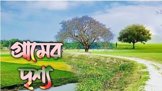 গ্রামের সুন্দর দৃশ্য । গ্রামর প্রকৃতির পরিবেশ
